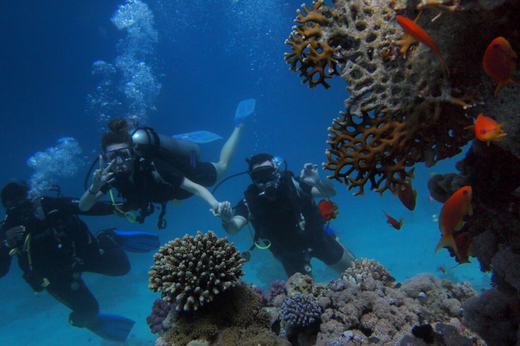 Group of people snorkelling ling